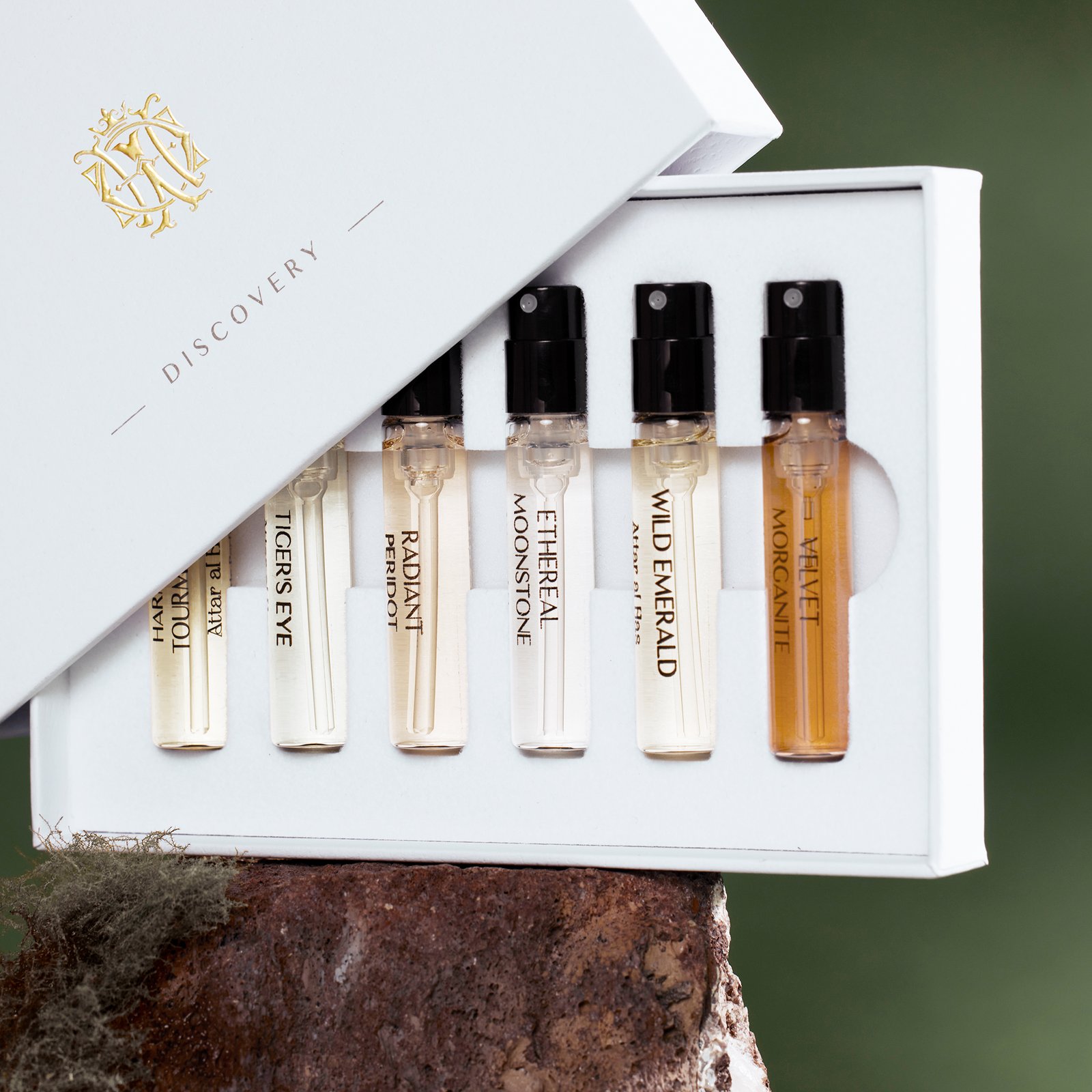 discovery S_Terra collection_4